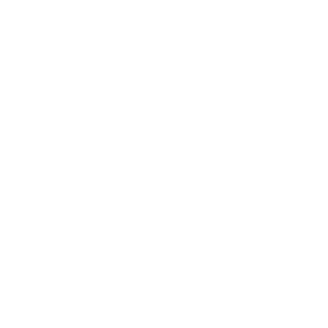 Levo-Logo-1