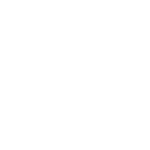 Tampa-Ventures