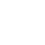 city of tampa