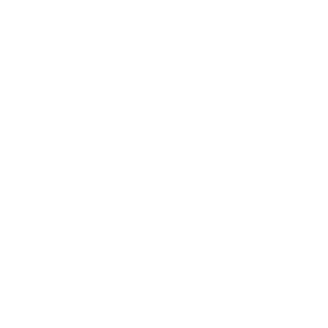 raysrowdiesfoundation_onlight_2021